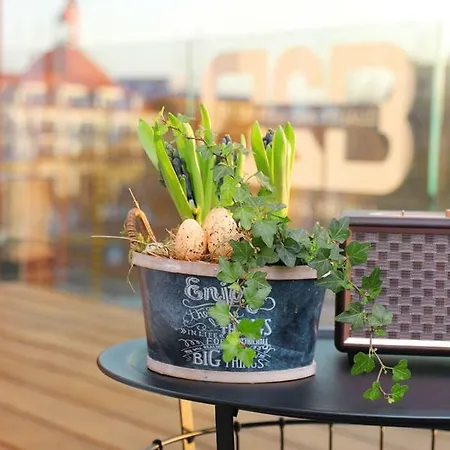 B2b Luxury Services Included 아파트 크노케-하이스트