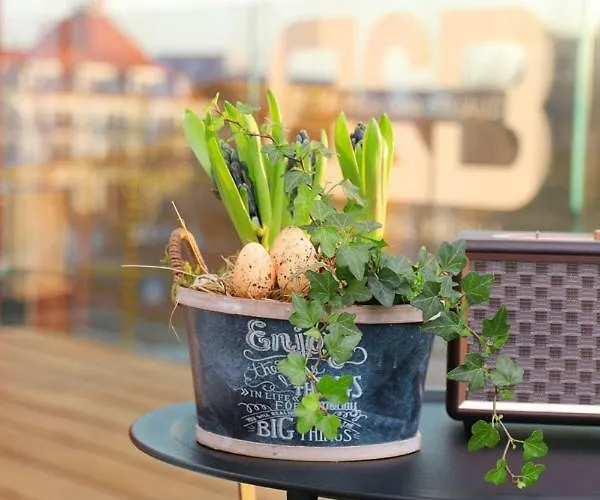 Luxury By Atelier Vo2 Max With Large Terrace And Parking 10 Min From Apartment Knokke-Heist